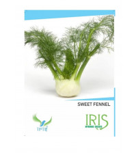 Iris Imported Sweet Fennel 20 Seeds